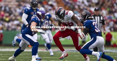 欧博官网-马洛塔坦言意甲面临经济鸿沟，过渡期难以匹敌皇马与英超