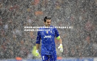 欧博官网-格拉纳达高原雄鹰迎战比利牛斯山脉勇士 西乙升级附加赛上演巅峰实力对决