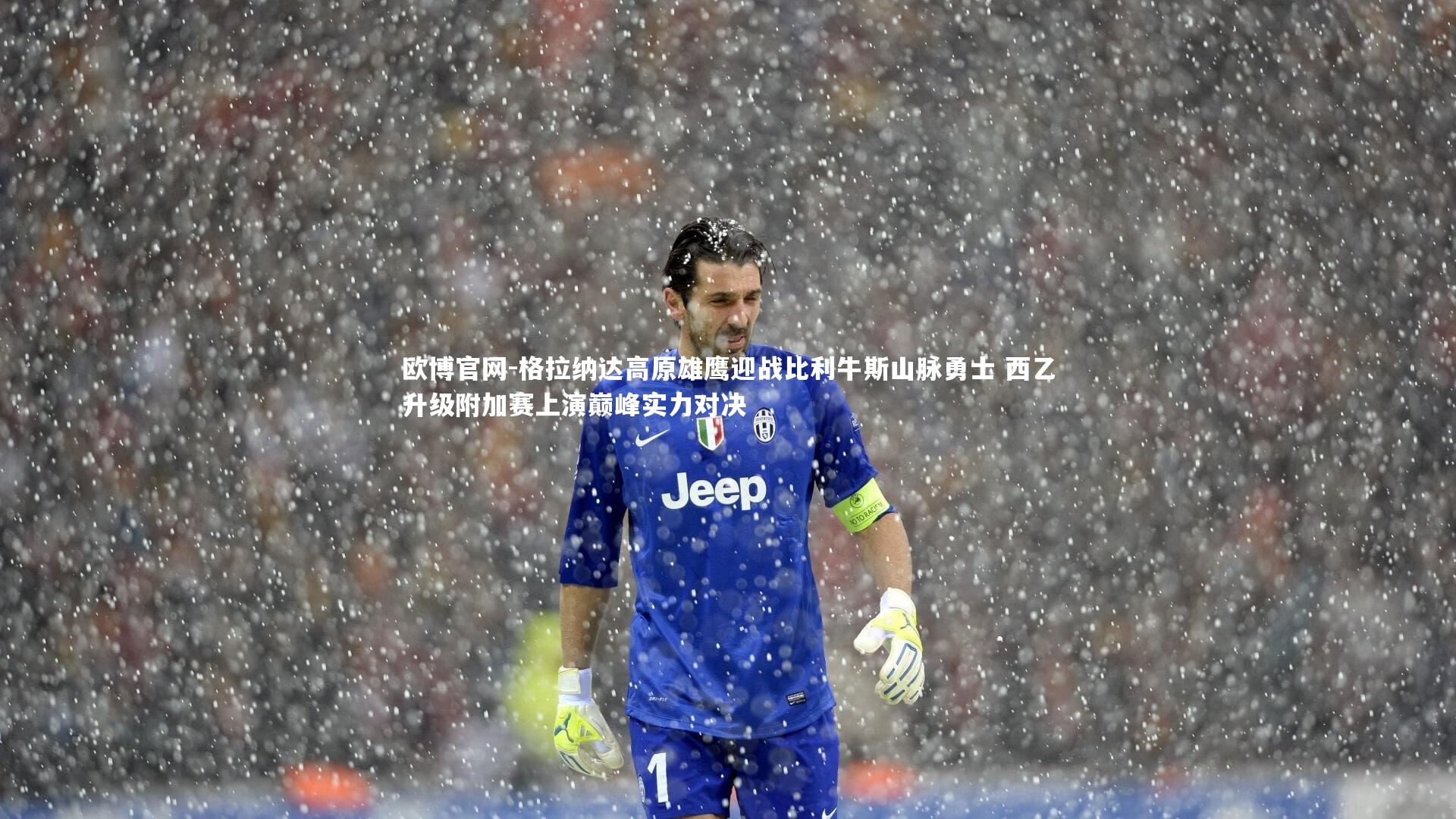 欧博官网-格拉纳达高原雄鹰迎战比利牛斯山脉勇士 西乙升级附加赛上演巅峰实力对决-第1张图片-欧博官网