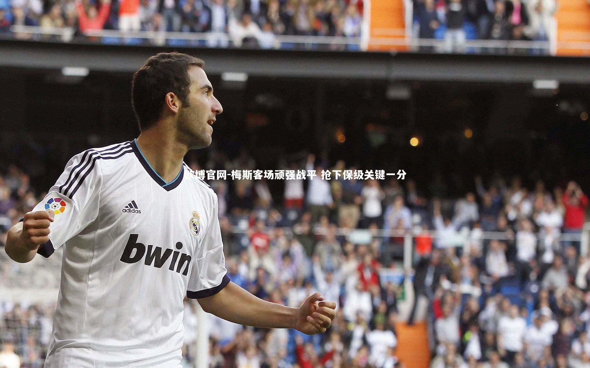 欧博官网-梅斯客场顽强战平 抢下保级关键一分-第1张图片-欧博官网